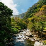 Why the residence permit in Panama is ideal for Canada nationals